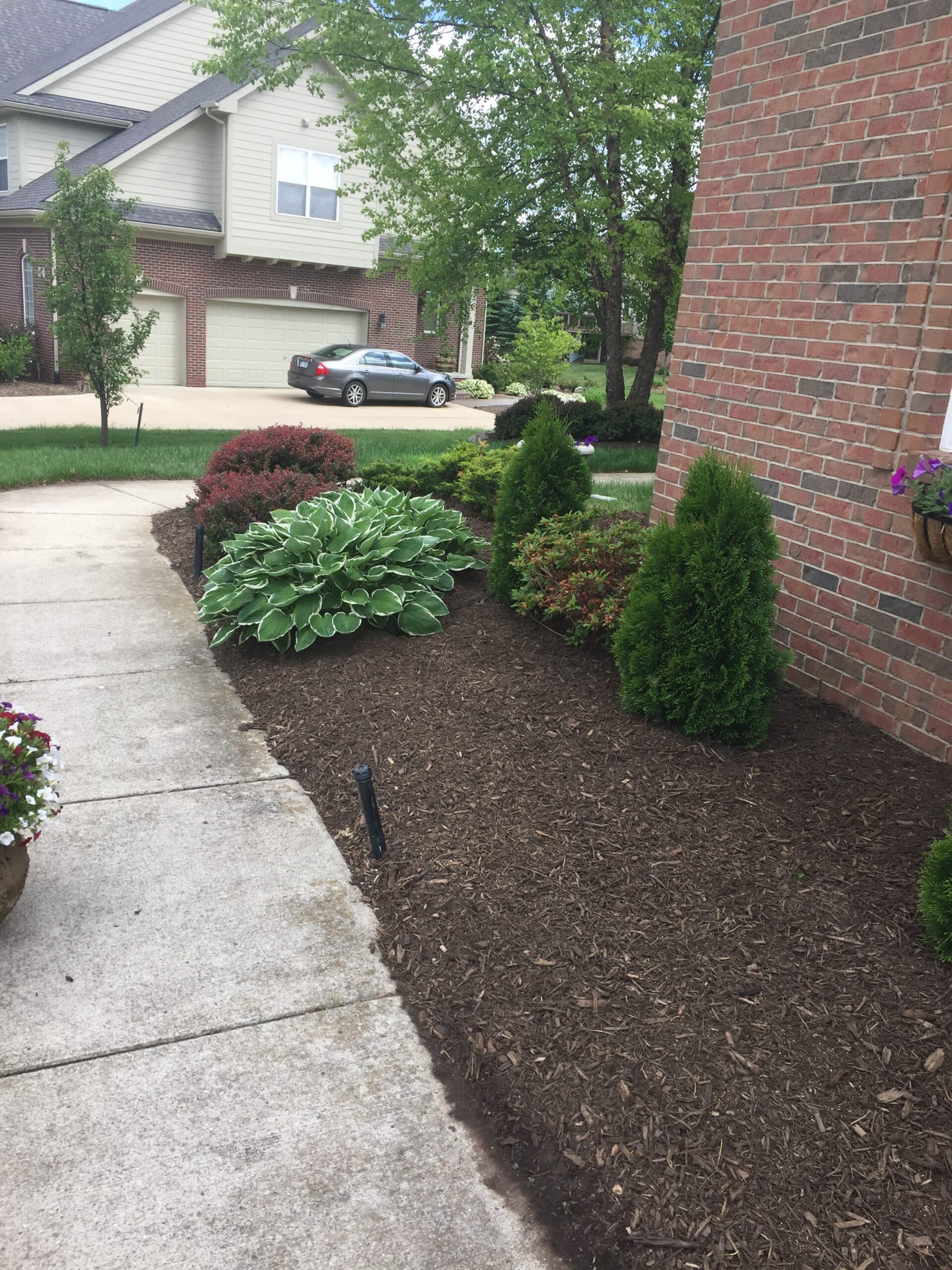 Front patio mulch garden
