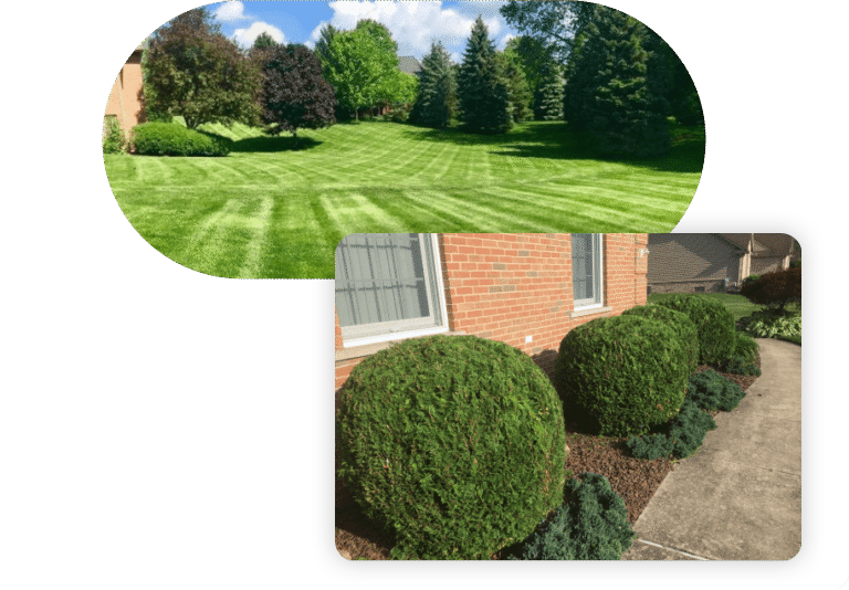 Finished landscaping lawns.