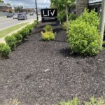 Commercial Mulch Work